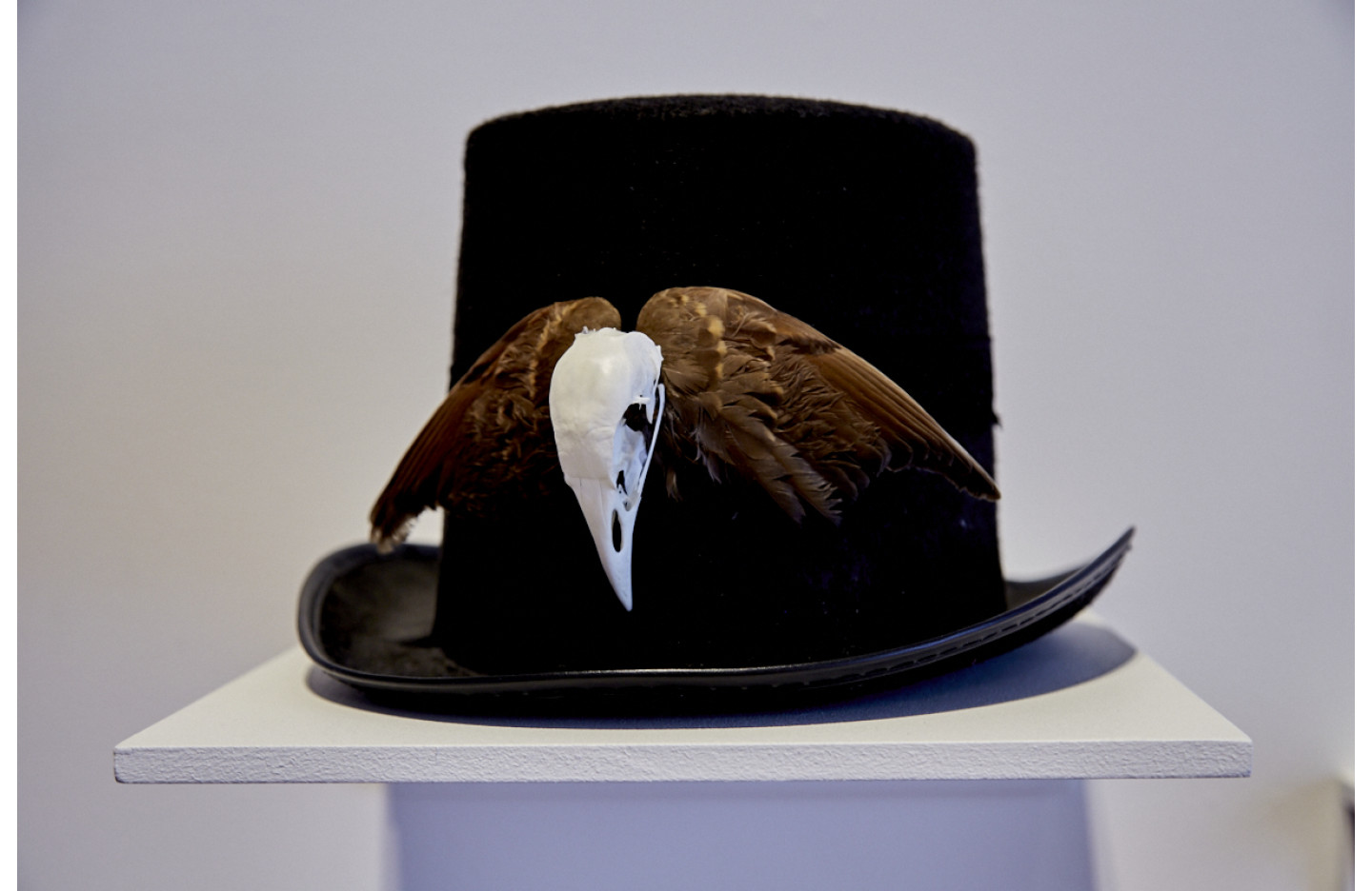 Loux McLellan, Tophat with pukeko and sparrow - for ThreeD Words: An exhibition of NZ women comic makers, Ramp Gallery, 31 Oct - 15 Nov, 2016