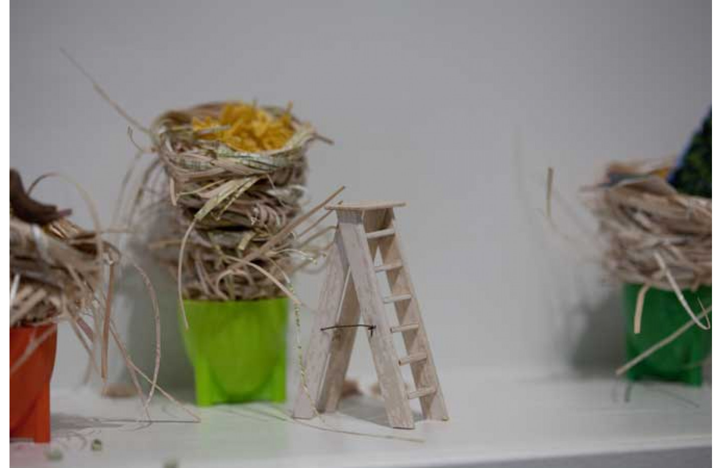 Ledge Gallery: The enchanted domestic landscape, Ramp Gallery (2010)