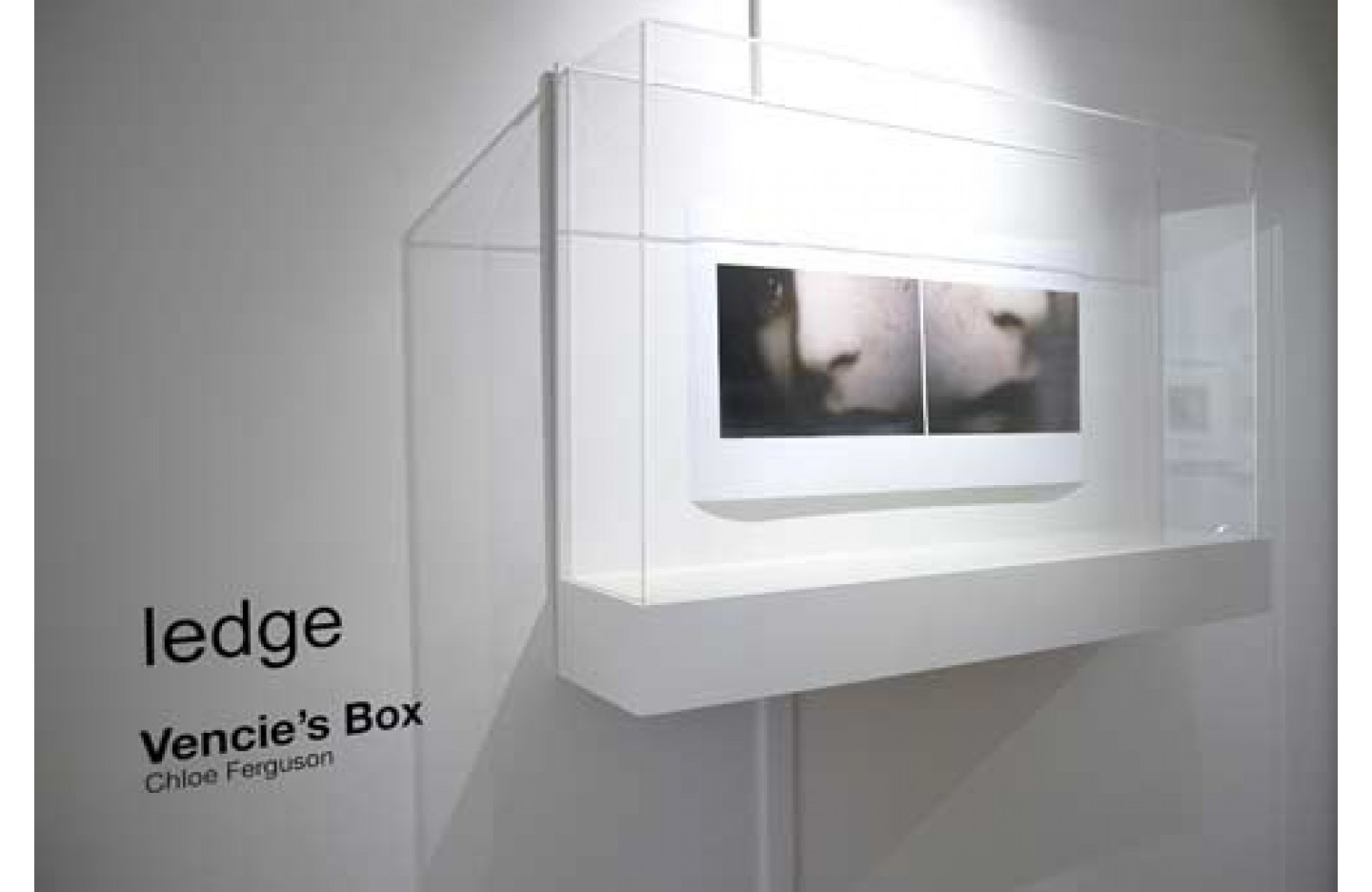Ledge Gallery: Vencie's Box, Ramp Gallery (2008)