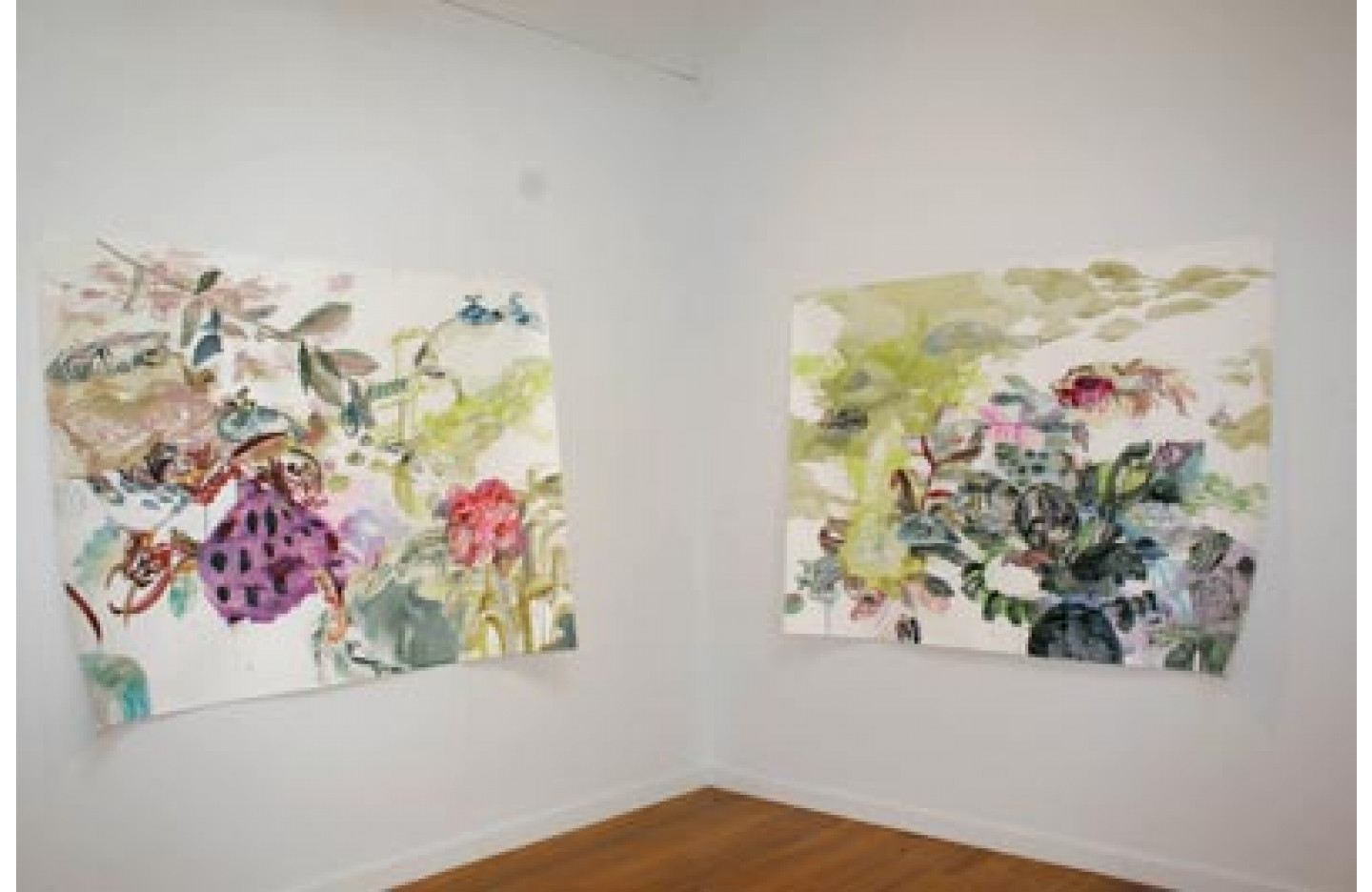 Phantom Flowers, Ramp Gallery (2005)