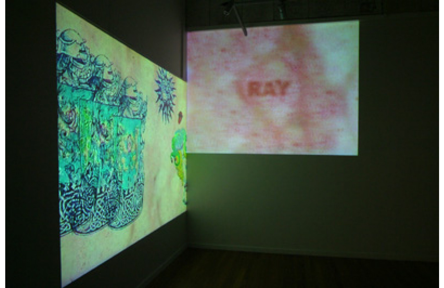 Skin Projection, Ramp Gallery (2003)